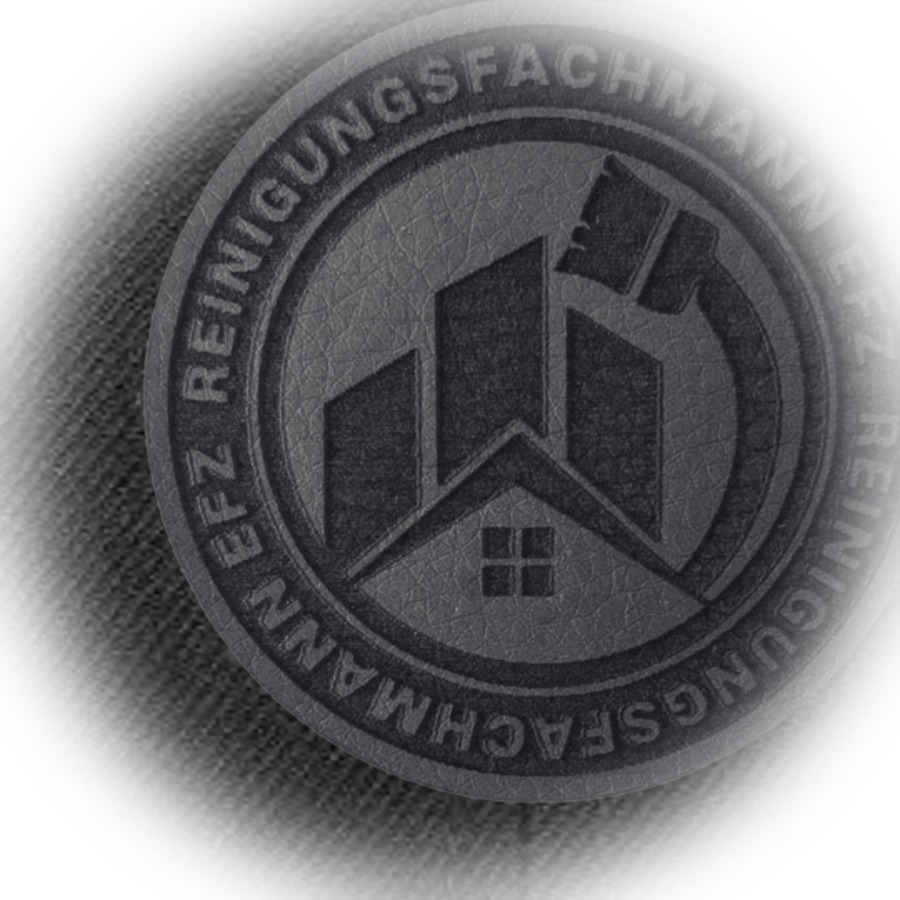 Black Series Reinigungsfachmann EFZ 2